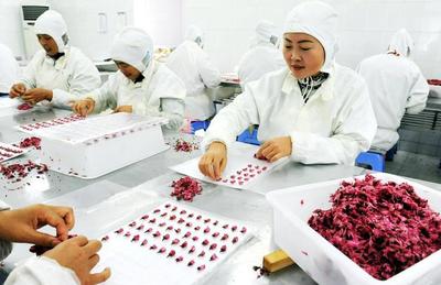 扬企获国内首张樱花深加工产品《食品生产许可证》